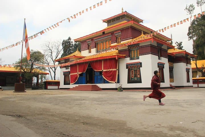 Gangtok Hill & Buddhist Monasteries Tour — Rumtek, Tsomgo Lake & Alpine Views photo 4