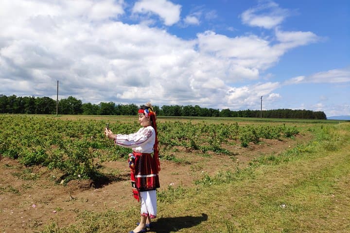 Visit Bulgaria's Lavender Fields: Oil Extraction Demo & Tasting Near Karlovo photo 5