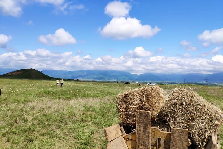 Visit Bulgaria's Lavender Fields: Oil Extraction Demo & Tasting Near Karlovo photo 6