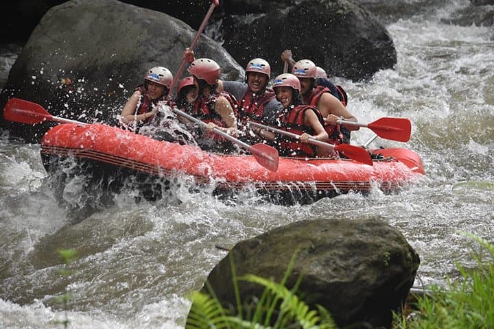 Ayung River Rafting from Ubud: 12km, Class II–III Rapids with Lunch & Transfers