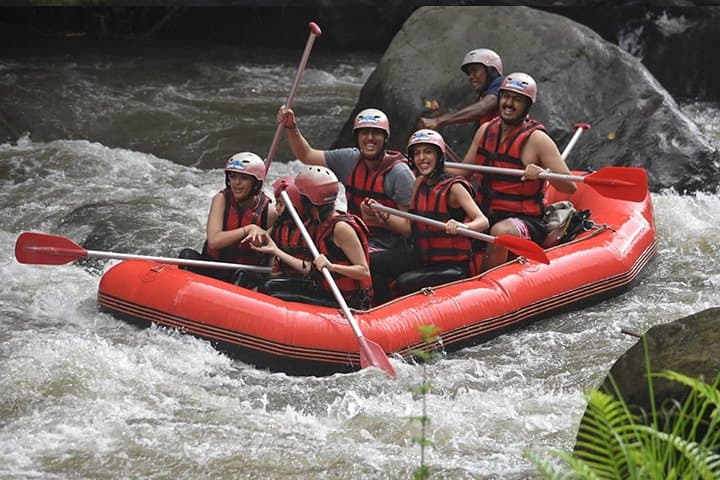 Ayung River Rafting from Ubud: 12km, Class II–III Rapids with Lunch & Transfers photo 2