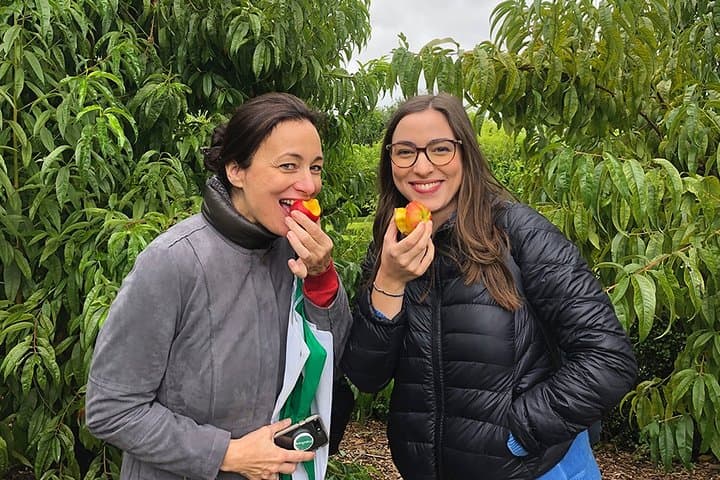 Franschhoek Wine Tasting & Babylonstoren Garden Day Tour from Cape Town photo 3