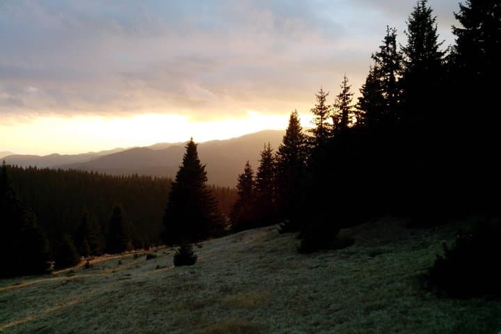 All-Season Pamporovo Buggy Adventure in the Rhodope Mountains photo 4