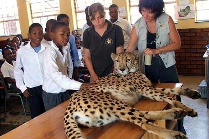 Ann van Dyk Cheetah Centre Guided Tour — De Wildt Wildlife Experience photo 2