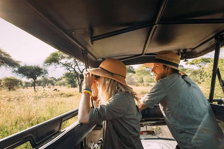 4-Day Private Safari: Serengeti, Ngorongoro & Tarangire