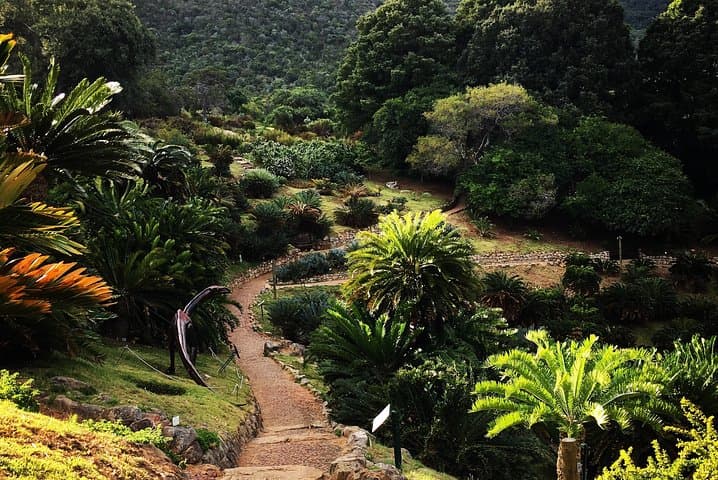 Cape Town Honeymoon Itinerary: Camps Bay, Table Mountain, Cape Point & Safari (10-Day) photo 5