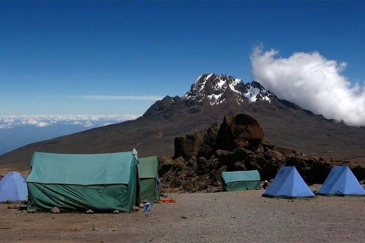 Marangu Route Kilimanjaro: 5-Day Hike to Uhuru Peak (Coca-Cola Route) photo 3