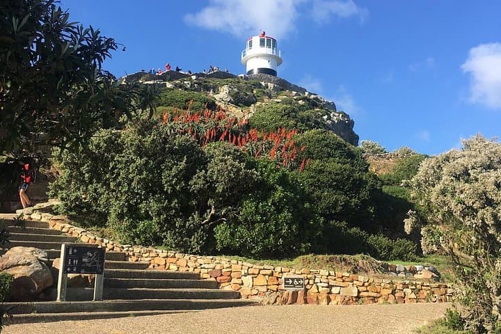 10-Day Cape Town Honeymoon: Cederberg Retreat, Safari & Wine Tasting photo 2