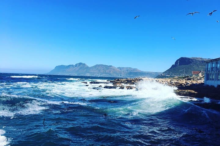 10-Day Cape Town Honeymoon: Cederberg Retreat, Safari & Wine Tasting photo 3
