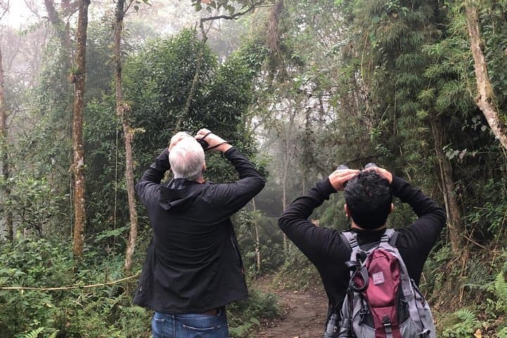 Day Trip to Chicaque Natural Park: Cloud-Forest Hike from Bogotá photo 3