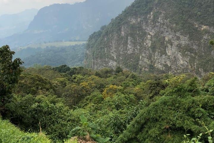 Day Trip to Chicaque Natural Park: Cloud-Forest Hike from Bogotá photo 4