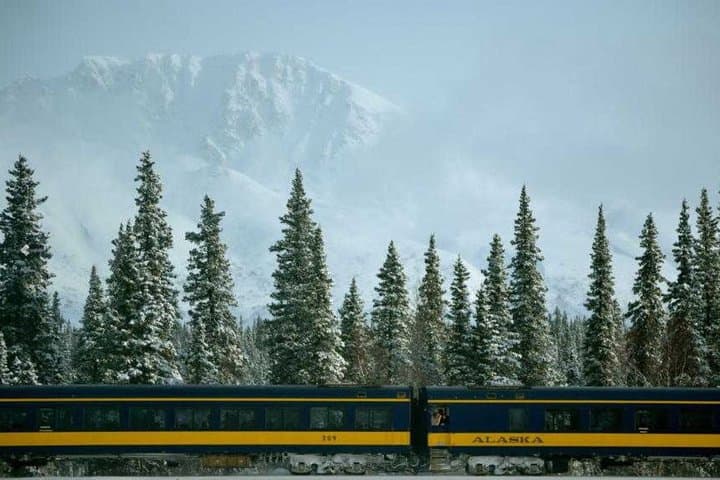 Denali Star: Anchorage to Denali One-Way Rail Journey photo 6