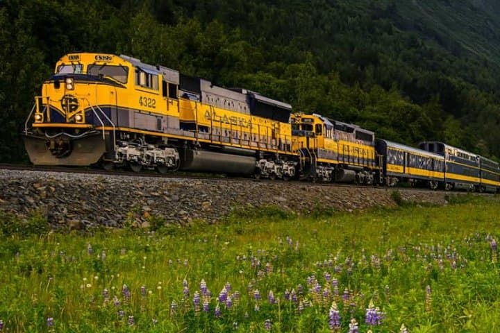 Denali Star: Anchorage to Denali One-Way Rail Journey photo 4