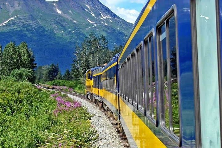 Denali to Anchorage: Alaska Railroad Scenic One-Way Journey photo 6