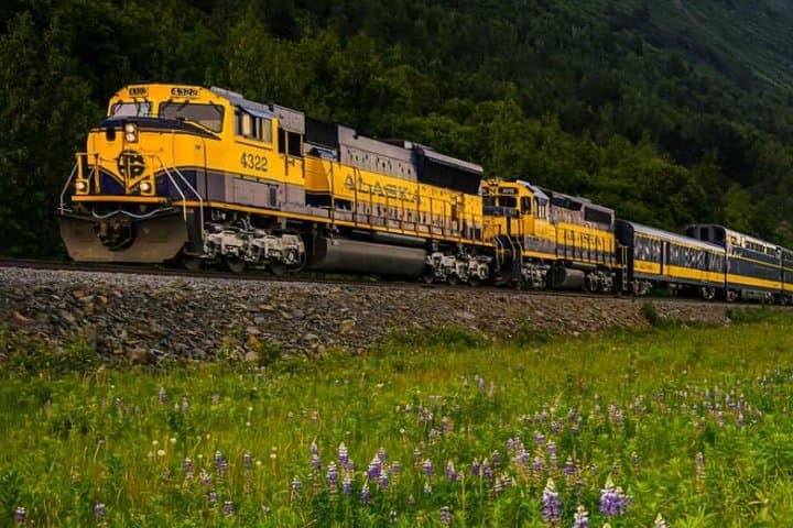 Scenic Alaska Railroad Journey from Anchorage to Seward: Coastal Classic Train Experience photo 5