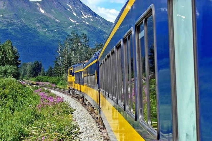Scenic Alaska Railroad Journey from Anchorage to Seward: Coastal Classic Train Experience photo 6