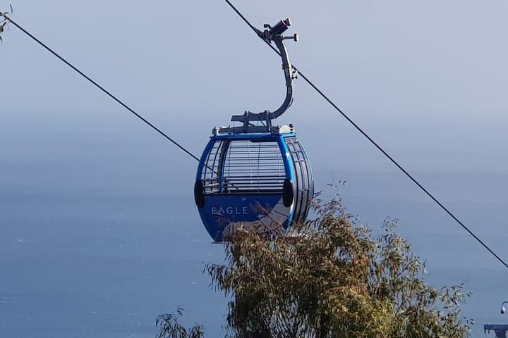 Mornington Peninsula Full-Day Sightseeing Tour from Melbourne — Lookouts, Coast & Wineries photo 3