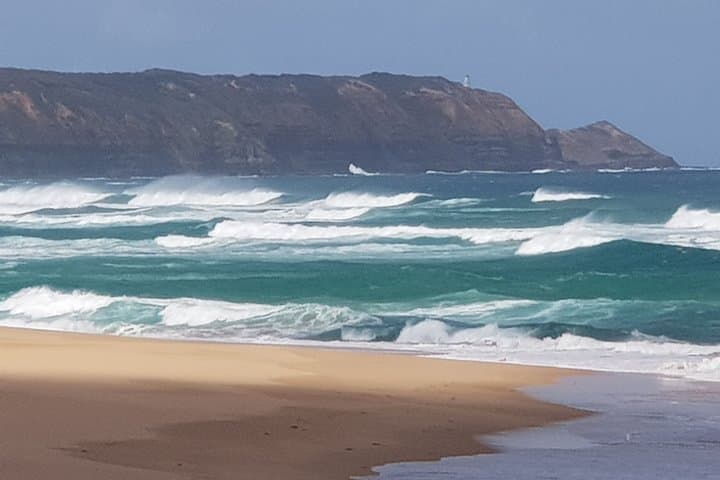 Mornington Peninsula Full-Day Sightseeing Tour from Melbourne — Lookouts, Coast & Wineries photo 5