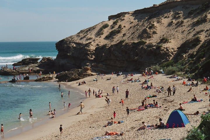 Mornington Peninsula Full-Day Sightseeing Tour from Melbourne — Lookouts, Coast & Wineries photo 2