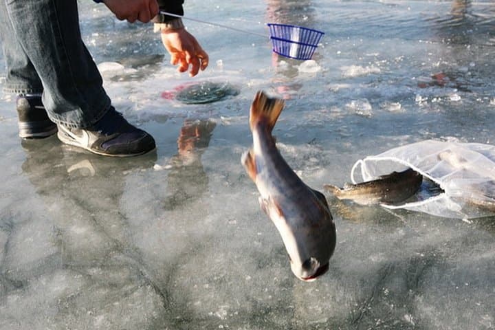 Hwacheon Sancheoneo Ice Fishing Day Trip from Seoul photo 6