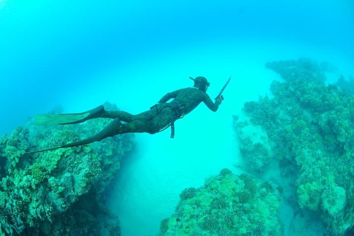 Basic Freediving Course Auckland: Pool Training & SSI Certification photo 5