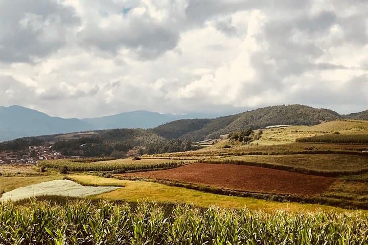 Exploring Dongchuan Red Land: One-Day Photo Tour from Kunming photo 6