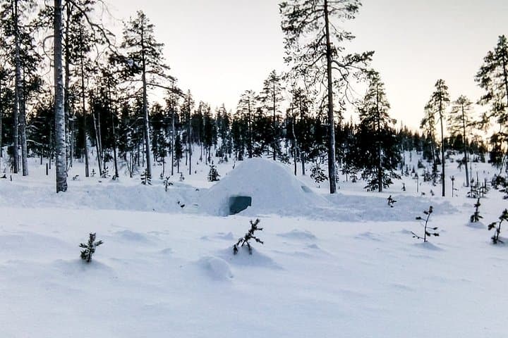 Build a Snow Igloo in Kemi: Hands-On Lapland Winter Experience photo 2
