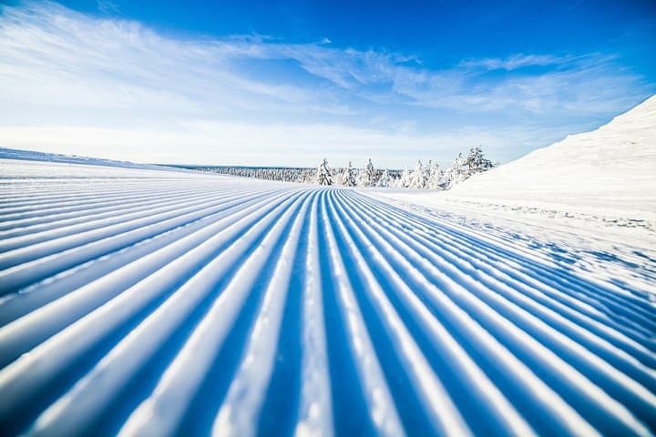Rovaniemi Cross-Country Skiing: Guided Beginner Lessons on Arctic Forest Tracks photo 2