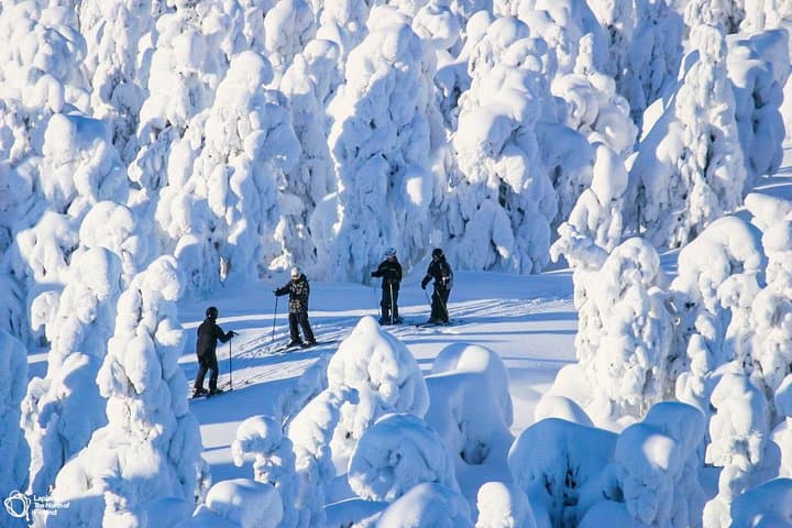 Rovaniemi Cross-Country Skiing: Guided Beginner Lessons on Arctic Forest Tracks photo 4