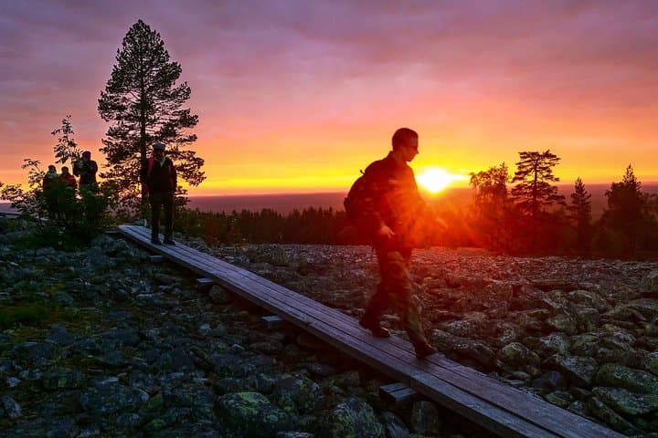 Sunset at the Arctic Circle: Katkavaara Evening Nature Walk from Rovaniemi photo 2
