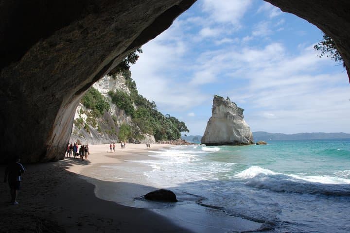 Coromandel Peninsula Discovery: Cathedral Cove, Hot Water Beach & Private Tour from Auckland photo 4