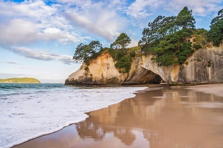 Coromandel Peninsula Discovery: Cathedral Cove, Hot Water Beach & Private Tour from Auckland