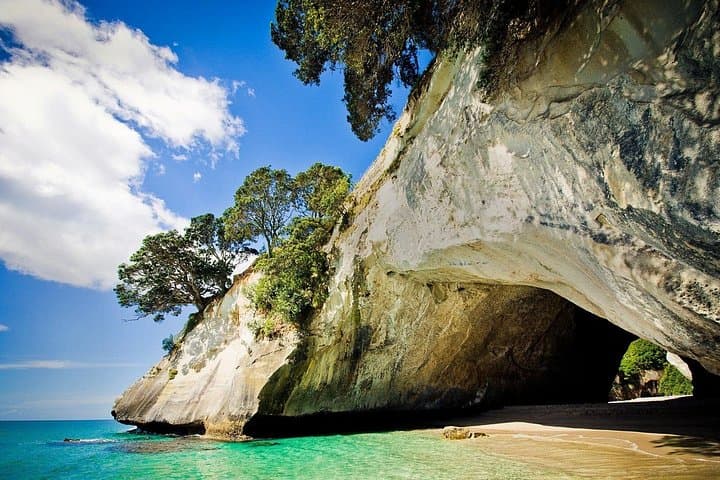 Coromandel Coastal Experience: Cathedral Cove & Hot Water Beach Day Tour from Auckland