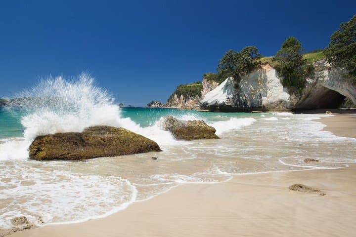 Coromandel Peninsula Discovery: Cathedral Cove, Hot Water Beach & Private Tour from Auckland photo 3