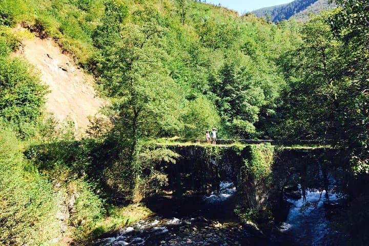 Train Track Trail Mountain Bike Ride — 25km Basque Forest Escape from San Sebastián photo 6
