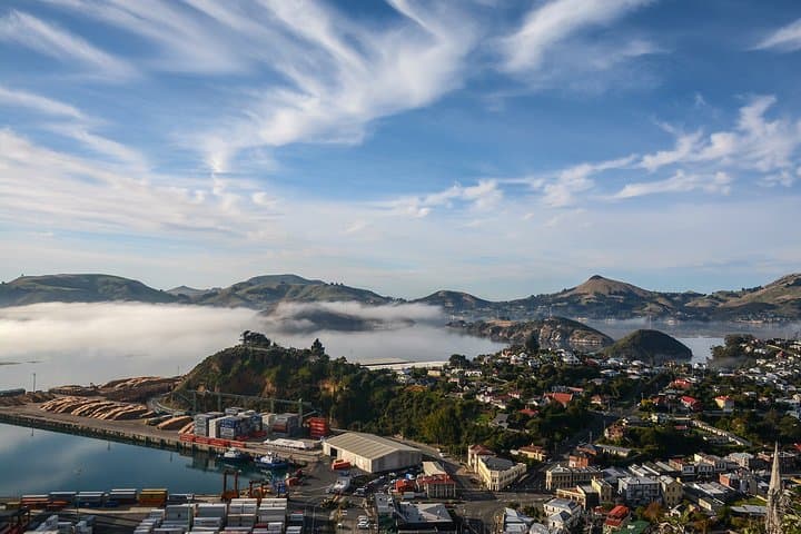 Dunedin Half-Day Highlights: Baldwin Street, Olveston & Signal Hill Views photo 4