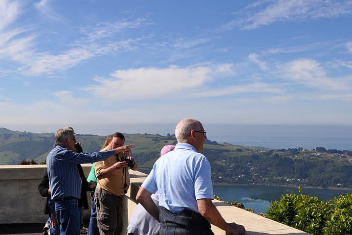 Dunedin Half-Day Highlights: Baldwin Street, Olveston & Signal Hill Views photo 5