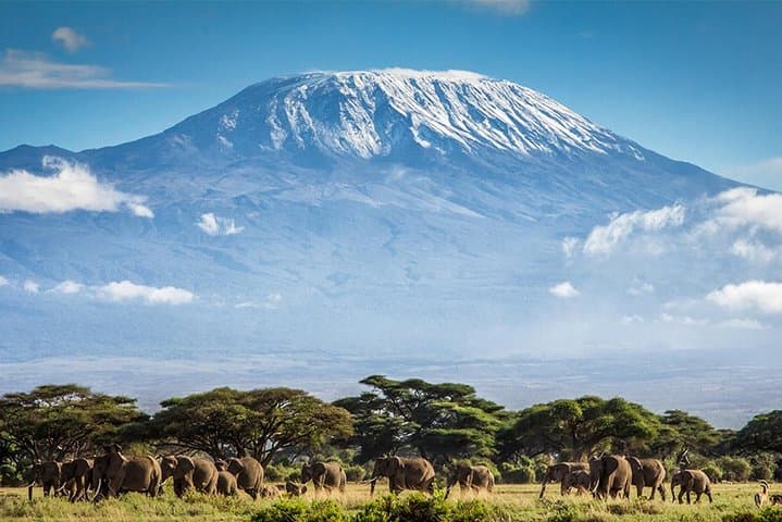 Seven-Day Machame Route Guide: Climb Mount Kilimanjaro with Airport Transfers