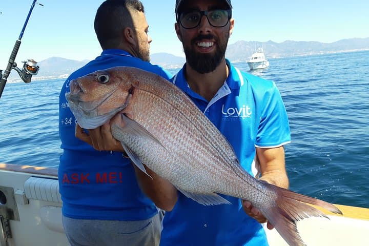Bottom Fishing Day Trip from Marbella: 4-Hour Boat Adventure on the Costa del Sol photo 2