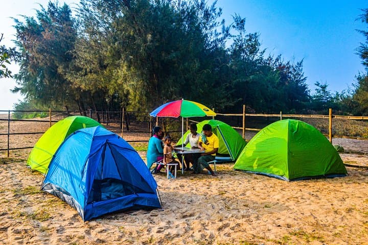 Beach Camping & Olive Ridley Conservation Near Bhubaneswar photo 2