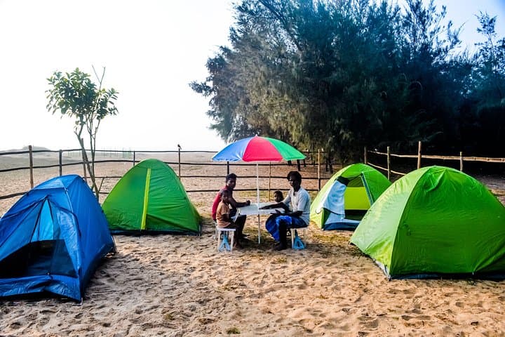 Beach Camping & Olive Ridley Conservation Near Bhubaneswar