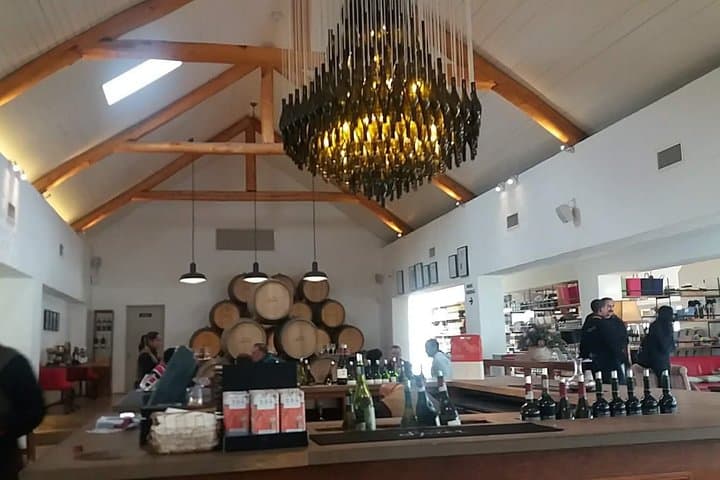 Gansbaai Shark Cage Diving and Benguela Cove Wine Tasting — Private Full-Day from Cape Town photo 5