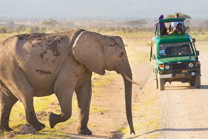 4-Day Masai Mara & Lake Naivasha Safari — High-End 4x4, Boat and Bike Experience photo 2