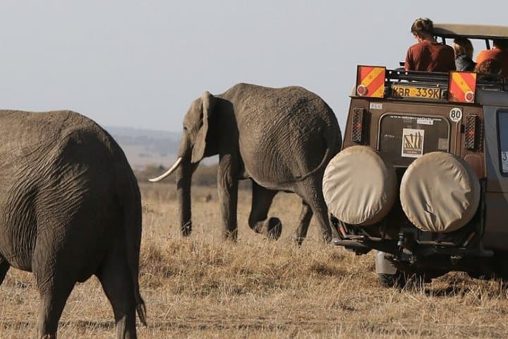 4-Day Masai Mara & Lake Naivasha Safari — High-End 4x4, Boat and Bike Experience photo 4