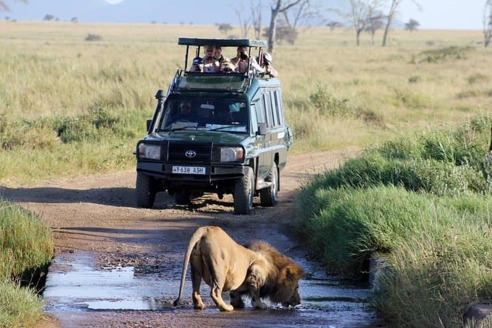 4-Day Masai Mara & Lake Naivasha Safari — High-End 4x4, Boat and Bike Experience