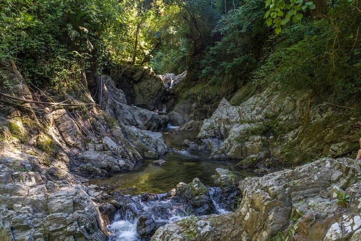 Minca Waterfalls & Coffee Farm Day Trip from Santa Marta — Hike, Swim, Taste photo 2