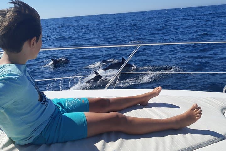 2-Hour Dolphin Watching Cruise off Marbella: Coastal Wildlife & Tips