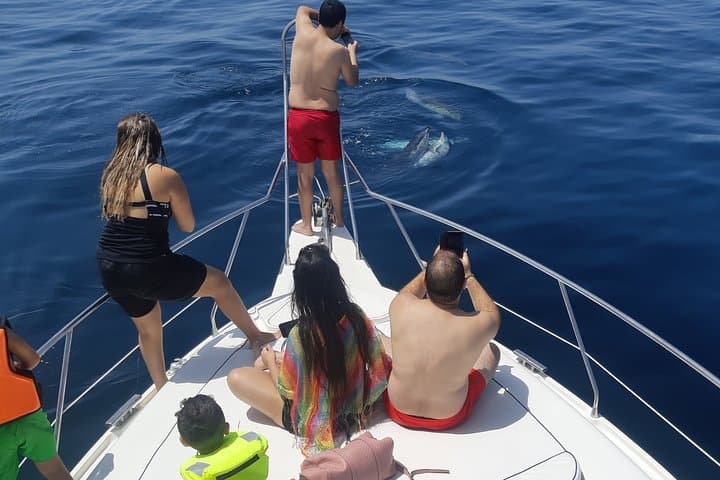 2-Hour Dolphin Watching Cruise off Marbella: Coastal Wildlife & Tips photo 2