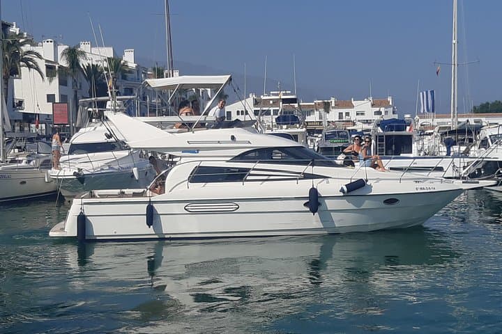 2-Hour Dolphin Watching Cruise off Marbella: Coastal Wildlife & Tips photo 4