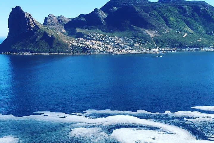 Cape Town Honeymoon 6-Day Itinerary: Penguins, Winelands & Table Mountain photo 5
